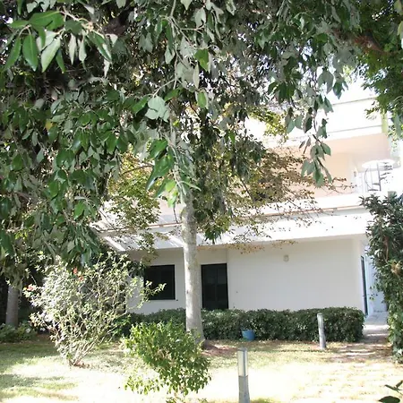 Edera * San Cataldo (Apulia)